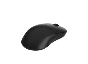 Egér Endgame Gear XM2w Optikai Wireless Fekete